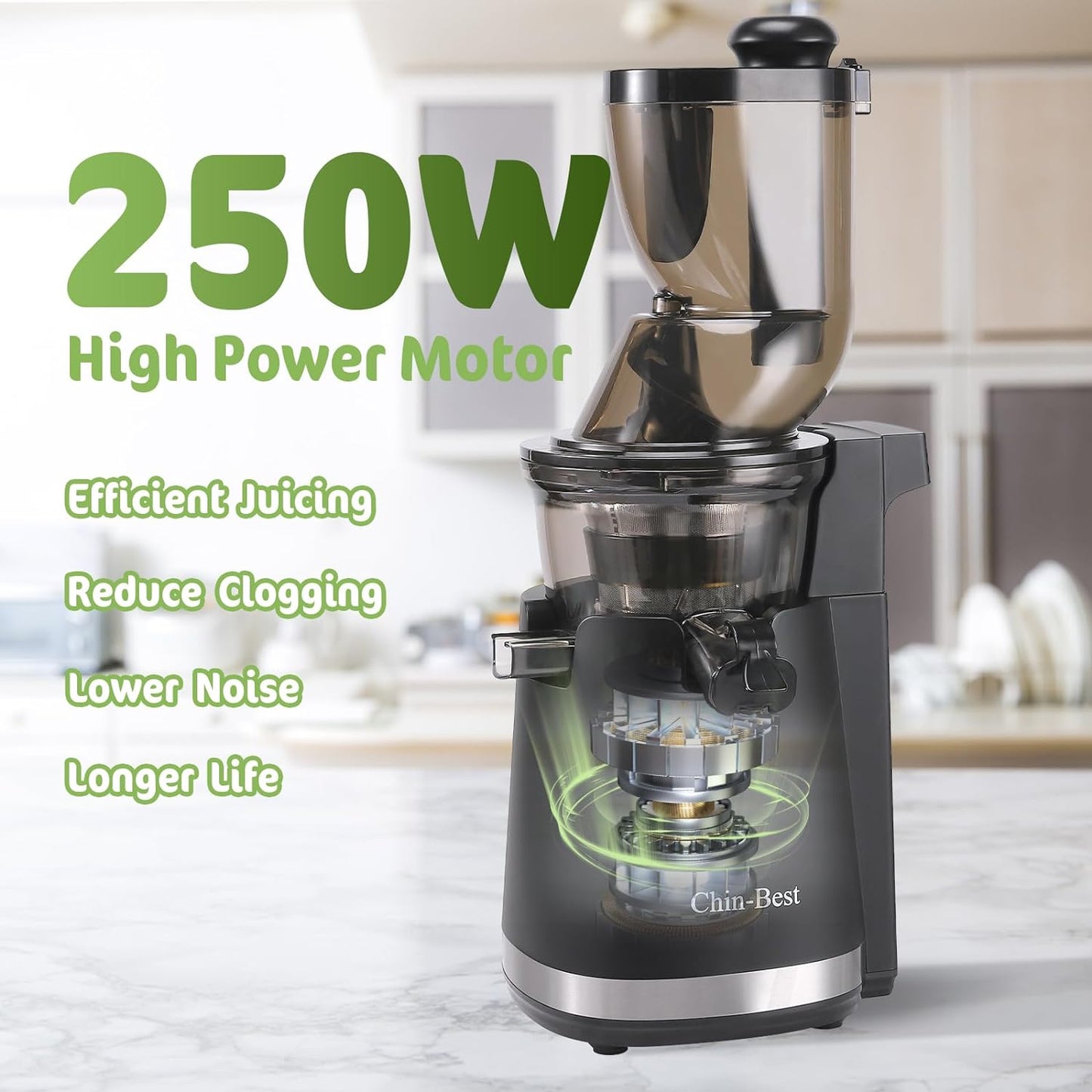 250 Watt High Power Juicer - Juicer Machines with 3.5-Inch (88Mm) Large Feed Chute- Masticating Juicer with 96% Juice Yield for Fruits and Vegetables, Easy Clean, Black